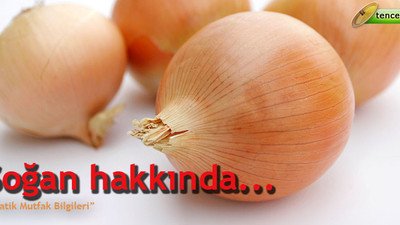 Soğan hakkında...