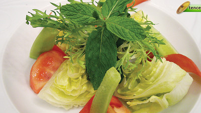 Söğüş Salata