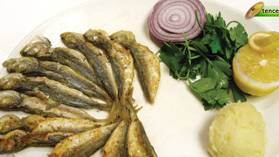 İstavrit Tava