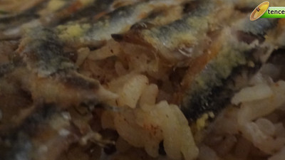 Hamsili Pilav