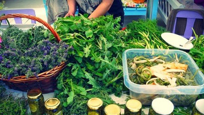 Urla 'Ot festivali' gün sayıyor